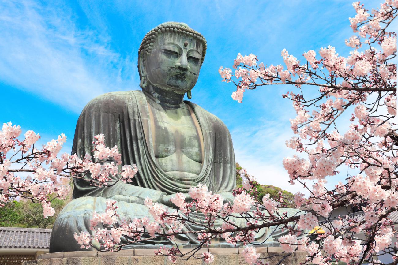 GRAND JAPONYA TURU